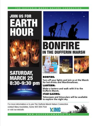 Dufferin Marsh Earth Hour Poster