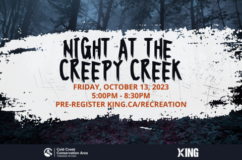 Night At The Creepy Creek