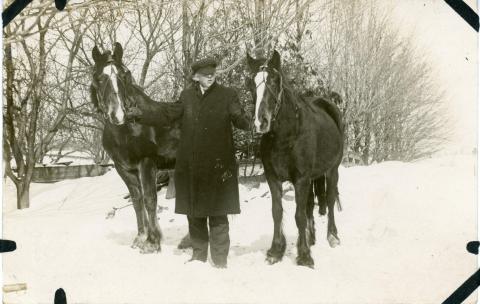 Man with horses