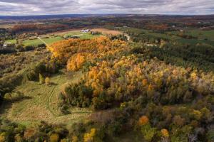 North-west aerial view of Cold Creek Conservation Area