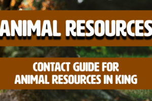 Animal Resources Header