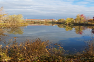 Stormwater management pond 