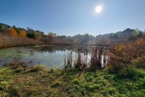 Cold Creek photo wetlands