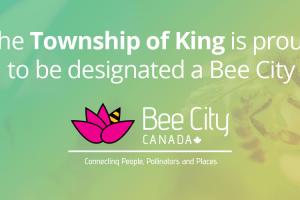 Bee City Certification