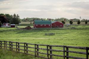 Pastoral picture in King
