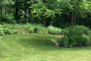 Green Yard