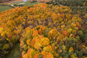 Fall Cold Creek