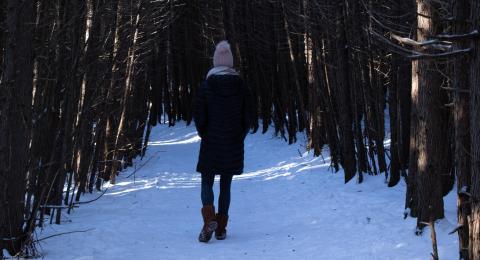 Person walking down trail in winter 