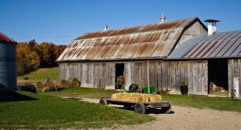 Agircultural Farm