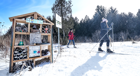 two people cross country skiing with an information bulletin in view